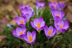 IMG_8821 2
