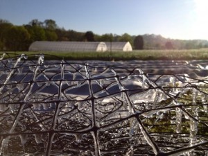 IMG_0845