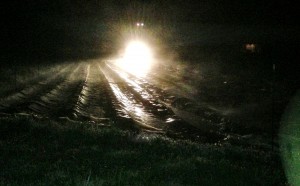 photo-7