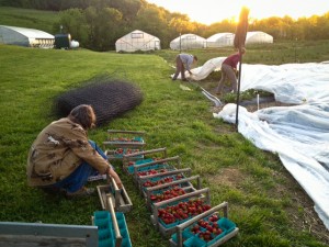 photo-6